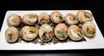 Картинка еда разное улитки