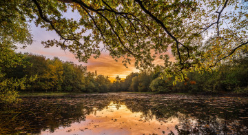 Картинка природа реки озера лес река