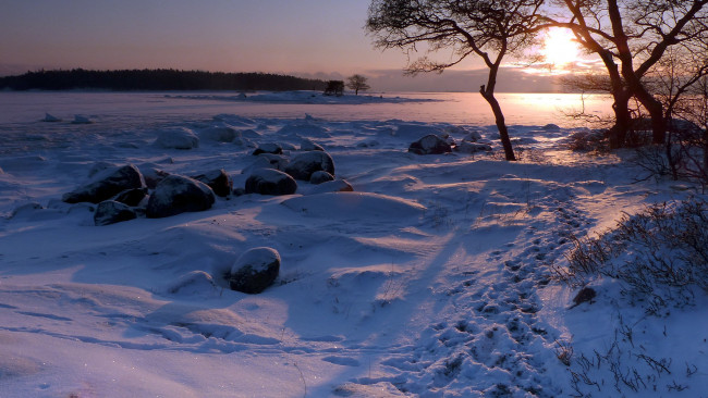 Обои картинки фото природа, зима, снег