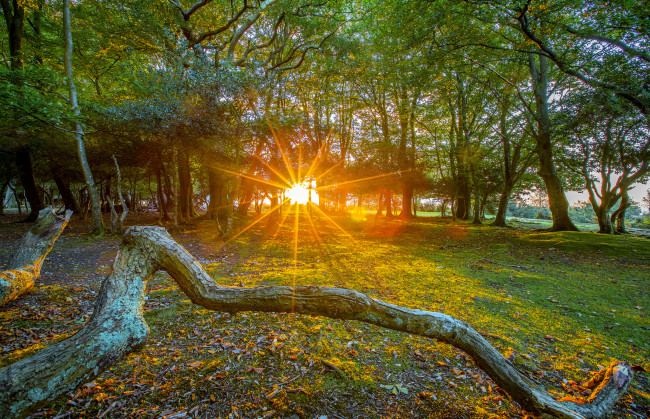 Обои картинки фото природа, восходы, закаты, рассвет