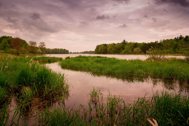 Обои картинки фото природа, реки, озера, река, лес