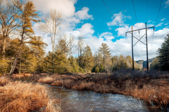 Обои картинки фото природа, реки, озера, река, лес