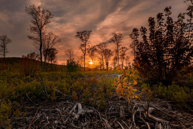 Обои картинки фото природа, восходы, закаты, рассвет