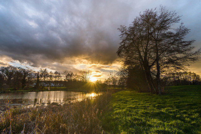 Обои картинки фото природа, реки, озера, река, лес