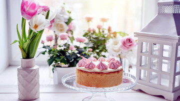 Картинка еда торты торт тюльпаны крем