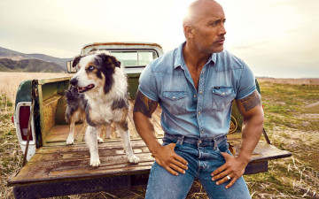 Картинка мужчины dwayne+johnson+ the+rock грузовик тату собака