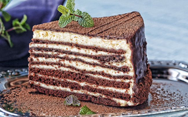 Обои картинки фото еда, торты, мята, торт, шоколадный