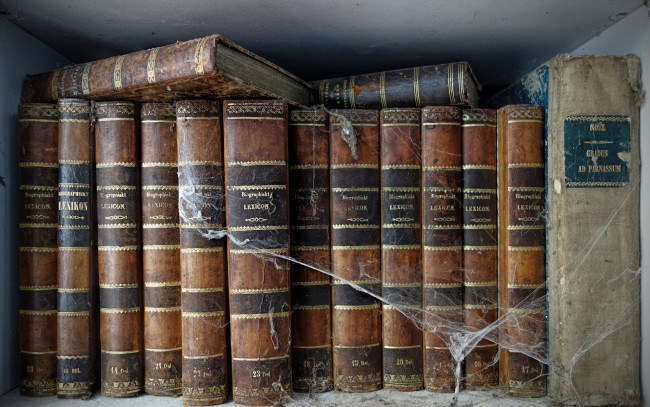 Обои картинки фото разное, канцелярия,  книги, паутина, книги