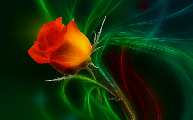 Обои картинки фото разное, компьютерный дизайн, цветок, роза