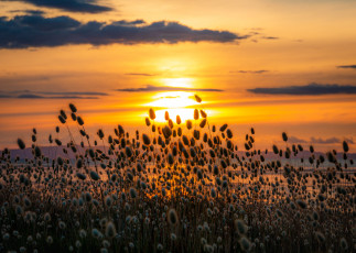 Картинка природа восходы закаты закат