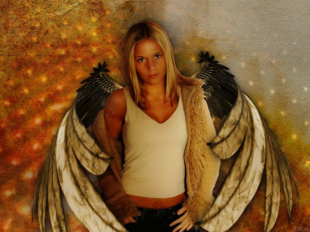 Обои картинки фото фэнтези, ангелы