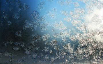 Картинка природа макро