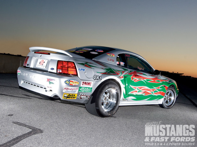 Обои картинки фото автомобили, mustang