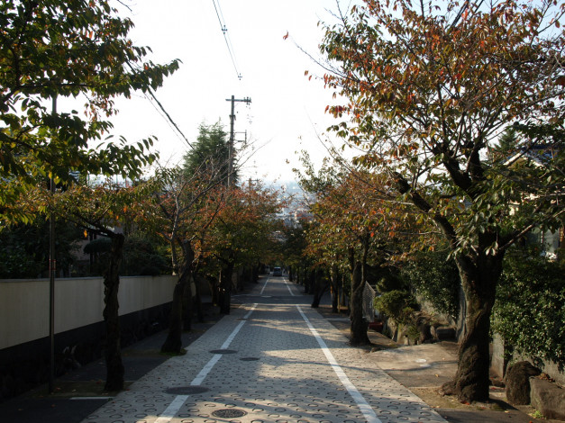 Обои картинки фото города, другое