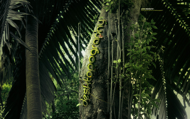 Обои картинки фото природа, лес