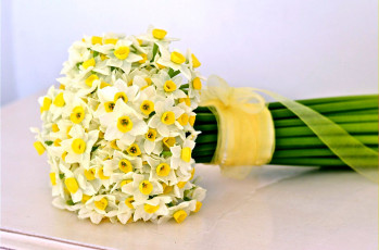 Картинка цветы нарциссы букет