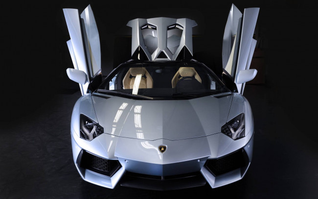 Обои картинки фото автомобили, lamborghini, lp700-4, aventador, car