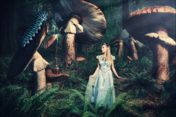 Картинка фэнтези фотоарт девушка грибы