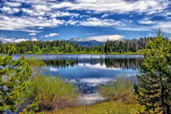 Картинка природа реки озера лес река облака