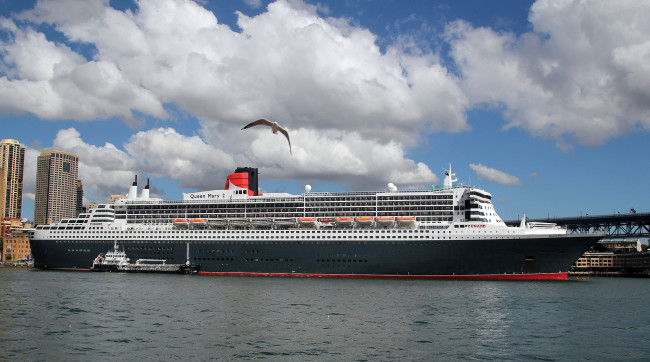 Обои картинки фото корабли, лайнеры, круиз