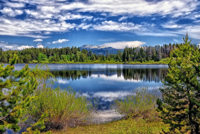 Обои картинки фото природа, реки, озера, лес, река, облака