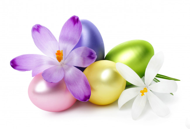 Обои картинки фото праздничные, пасха, крокусы, яйца