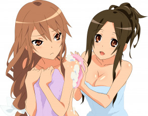 Картинка аниме ookami-san+to+shichinin+no+nakama-tachi взгляд фон девушки