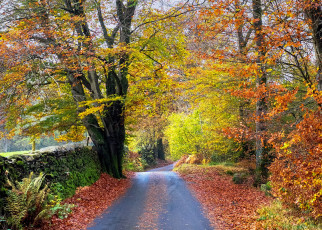 Картинка природа дороги тракт