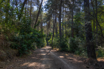 Картинка природа дороги тракт