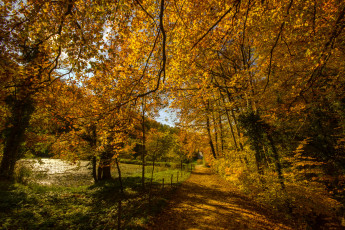 Картинка природа дороги тракт