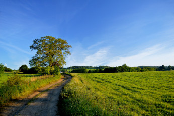 Картинка природа дороги тракт