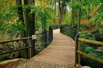 Картинка природа дороги тракт