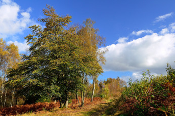 Картинка природа дороги тракт