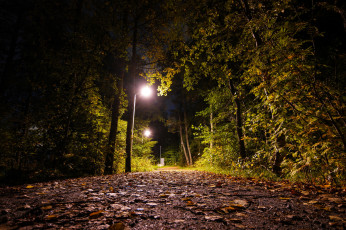 Картинка природа дороги тракт