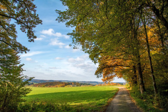 Картинка природа дороги тракт