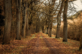 Картинка природа дороги тракт