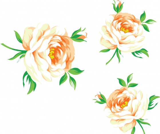 Обои картинки фото векторная графика, цветы , flowers, лепестки, цветы, фон