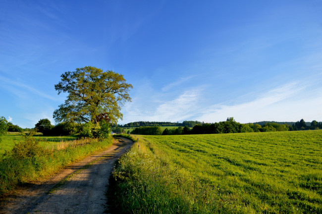 Обои картинки фото природа, дороги, тракт