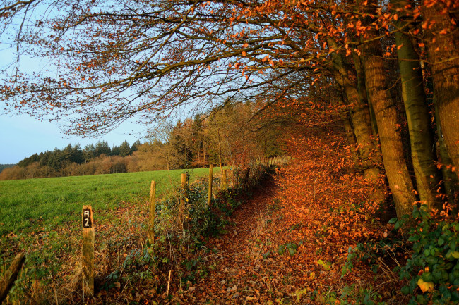 Обои картинки фото природа, дороги, тракт