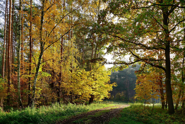 Обои картинки фото природа, дороги, тракт