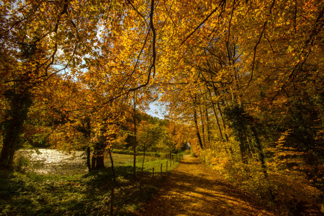 Обои картинки фото природа, дороги, тракт