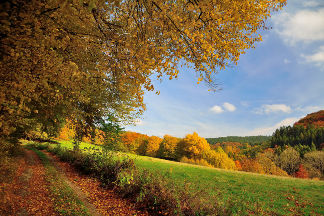 Обои картинки фото природа, дороги, тракт