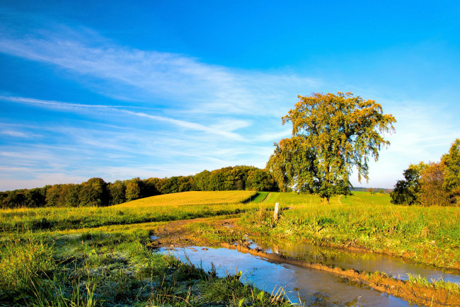 Обои картинки фото природа, реки, озера, тракт