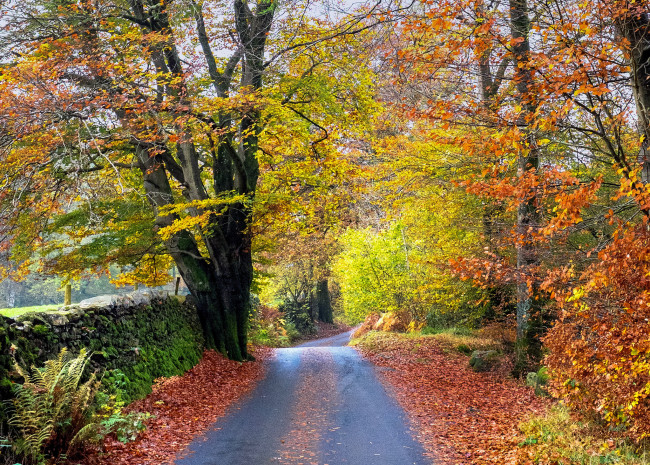 Обои картинки фото природа, дороги, тракт