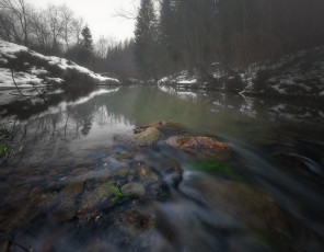 Картинка природа реки озера река лес