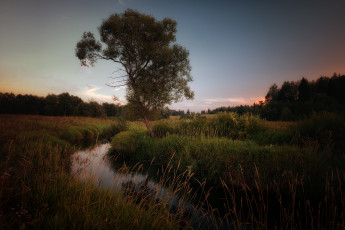 Картинка природа реки озера поток луг