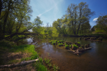 Картинка природа реки озера река