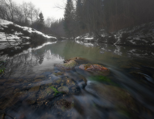 Обои картинки фото природа, реки, озера, река, лес