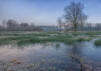 Картинка природа реки озера простор