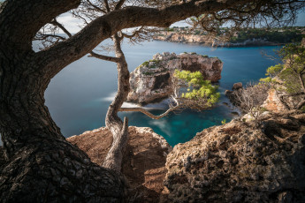 Картинка природа побережье простор